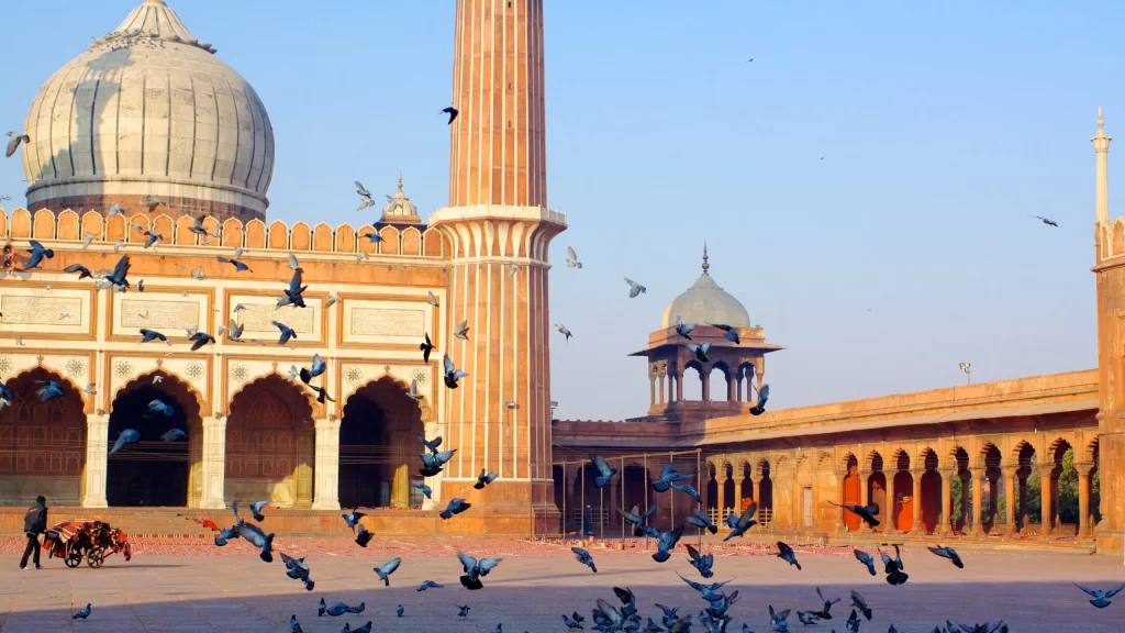 Új-delhi-india